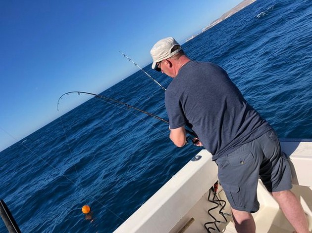 Hooked up Cavalier & Blue Marlin Sport Fishing Gran Canaria