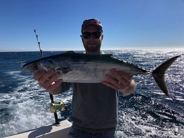 North Atlantic Bonito Cavalier & Blue Marlin Sport Fishing Gran Canaria