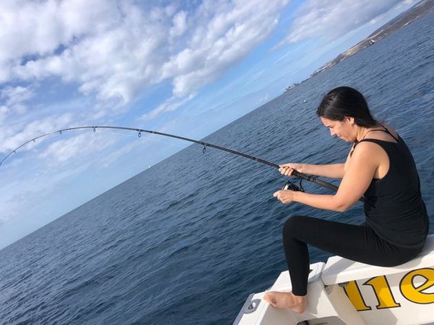Hooked up Cavalier & Blue Marlin Sport Fishing Gran Canaria