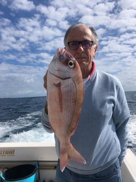 Nice Snapper - Nice Catch Cavalier & Blue Marlin Sport Fishing Gran Canaria
