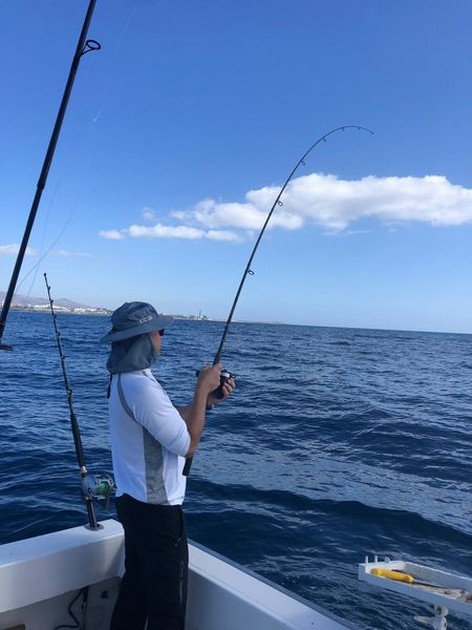 Great Catch Cavalier & Blue Marlin Sport Fishing Gran Canaria