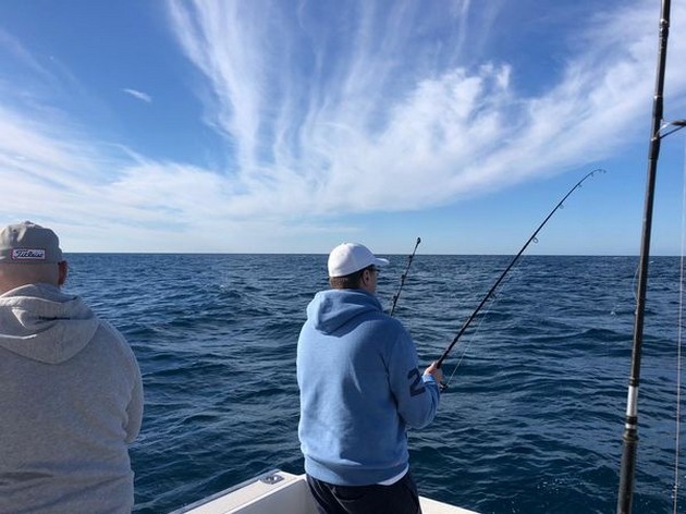 Hooked Up Cavalier & Blue Marlin Sport Fishing Gran Canaria