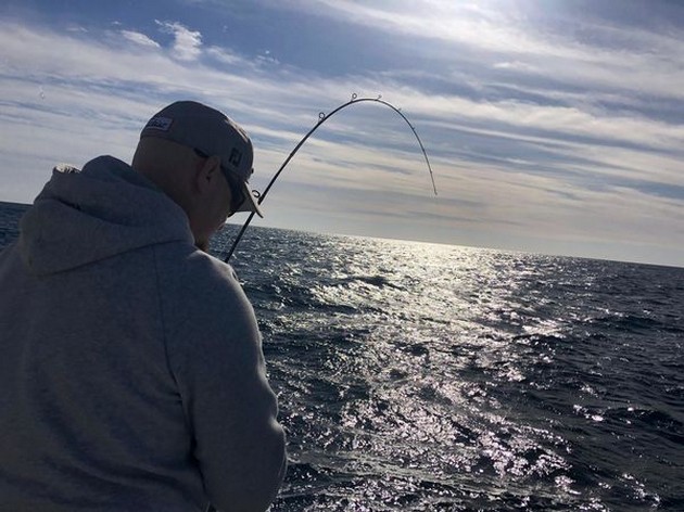 Hooked Up Cavalier & Blue Marlin Sport Fishing Gran Canaria