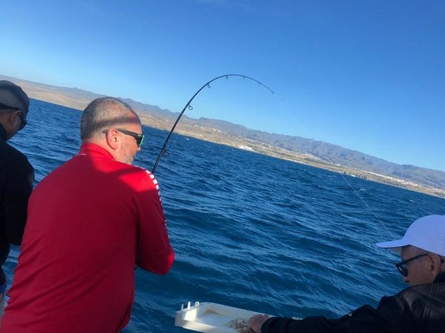Hooked up Cavalier & Blue Marlin Sport Fishing Gran Canaria
