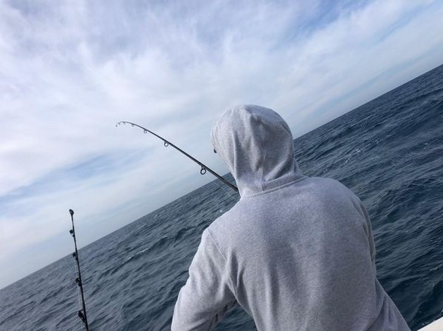 Hooked up Cavalier & Blue Marlin Sport Fishing Gran Canaria