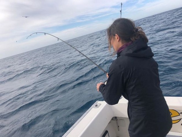 Hooked up Cavalier & Blue Marlin Sport Fishing Gran Canaria