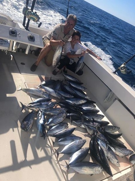 Skipjack tuna Cavalier & Blue Marlin Sport Fishing Gran Canaria