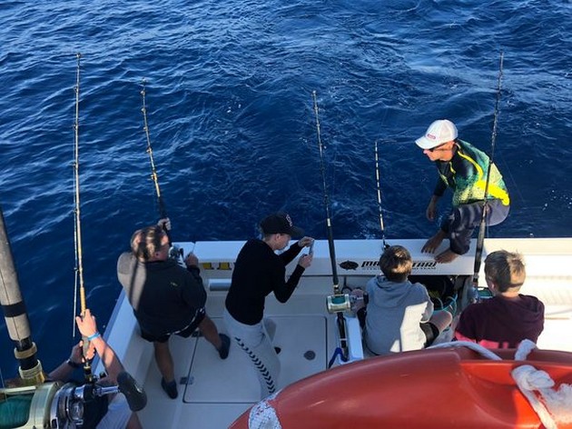 Action Cavalier & Blue Marlin Sport Fishing Gran Canaria