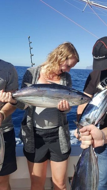 Skipjack tuna Cavalier & Blue Marlin Sport Fishing Gran Canaria