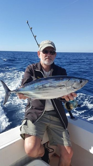 Skipjack tuna Cavalier & Blue Marlin Sport Fishing Gran Canaria