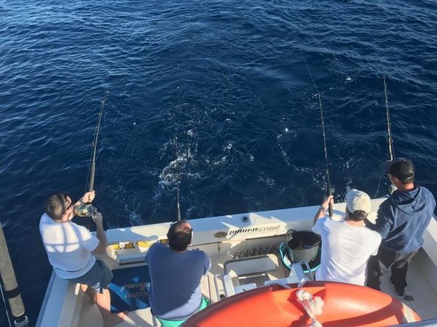 Hooked up Cavalier & Blue Marlin Sport Fishing Gran Canaria