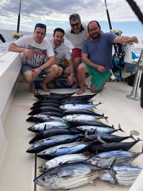 25 Skipjack tonfisk Cavalier & Blue Marlin Sport Fishing Gran Canaria