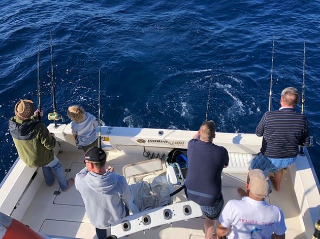 Hooked Up Cavalier & Blue Marlin Sport Fishing Gran Canaria