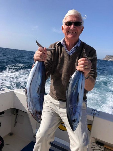 Skipjack tuna Cavalier & Blue Marlin Sport Fishing Gran Canaria