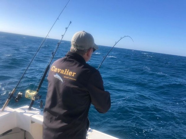 Hooked up Cavalier & Blue Marlin Sport Fishing Gran Canaria
