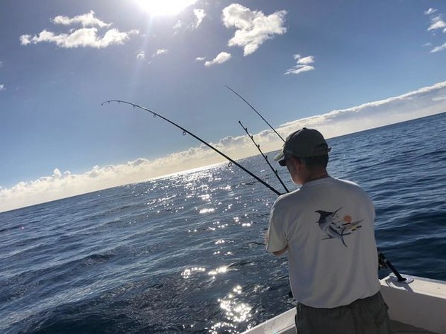 Hooked up Cavalier & Blue Marlin Sport Fishing Gran Canaria