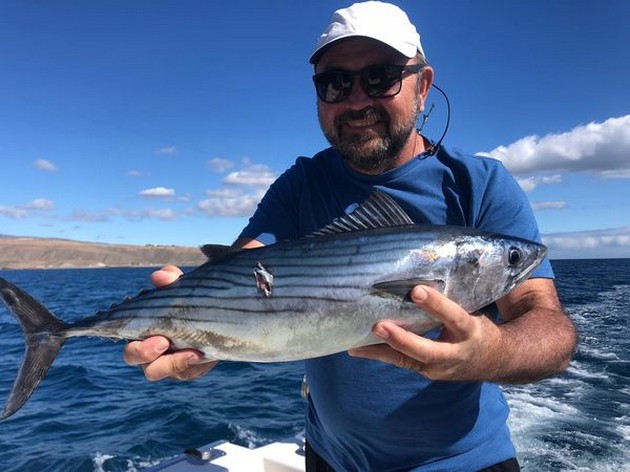North Atlantic Bonito Cavalier & Blue Marlin Sport Fishing Gran Canaria