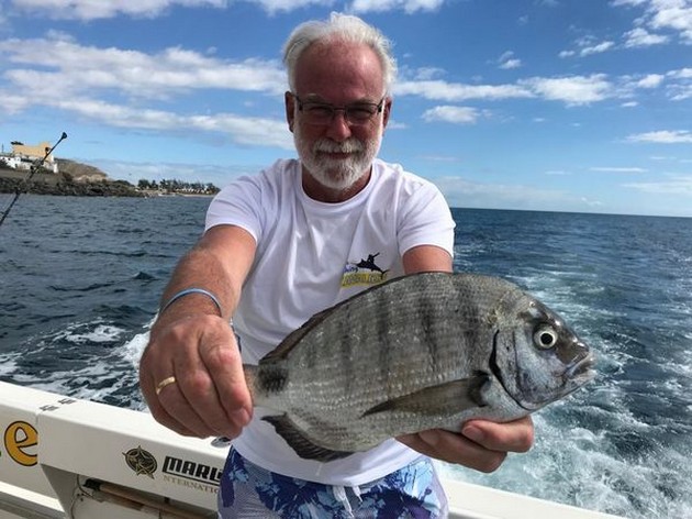 Seabream Cavalier & Blue Marlin Sport Fishing Gran Canaria