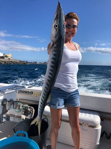 Barracuda Cavalier & Blue Marlin Sport Fishing Gran Canaria