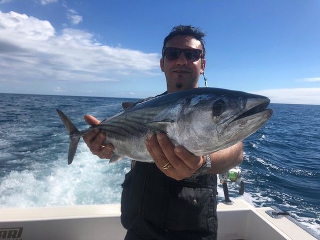 Nice Photo Cavalier & Blue Marlin Sport Fishing Gran Canaria