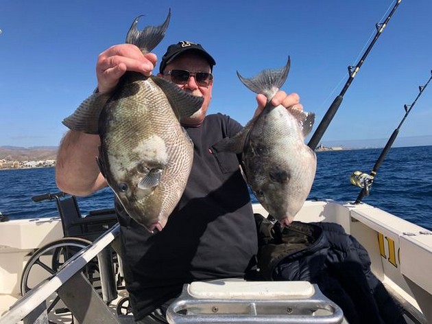 Trigger fish Cavalier & Blue Marlin Sport Fishing Gran Canaria