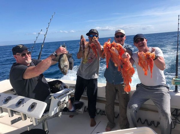 well done Cavalier & Blue Marlin Sport Fishing Gran Canaria