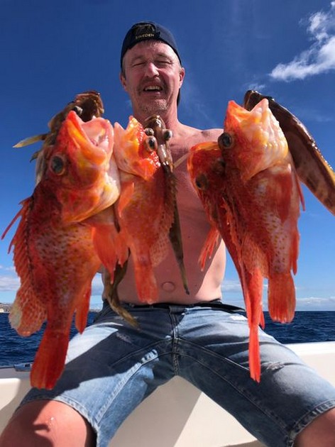 Scorpion fish Cavalier & Blue Marlin Sport Fishing Gran Canaria