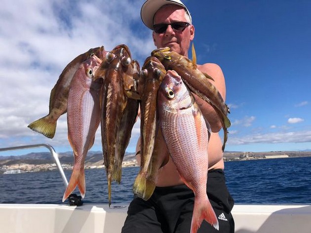 Comber & Snappers Cavalier & Blue Marlin Sport Fishing Gran Canaria