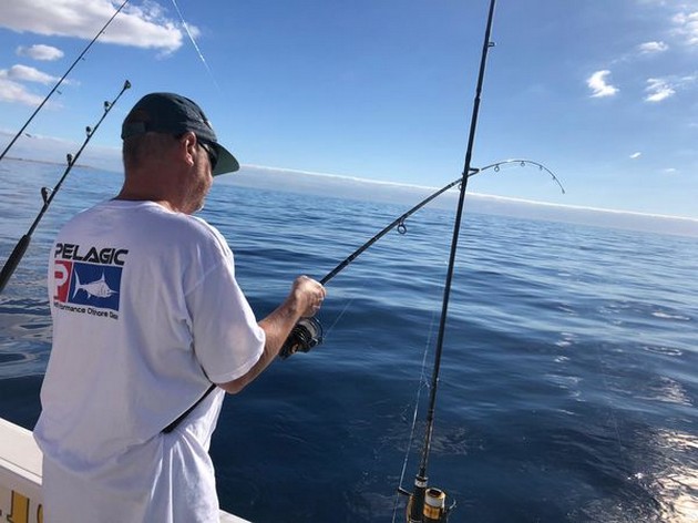 Hooked up Cavalier & Blue Marlin Sport Fishing Gran Canaria
