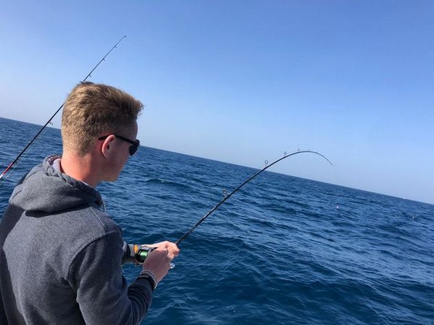 Hooked up Cavalier & Blue Marlin Sport Fishing Gran Canaria