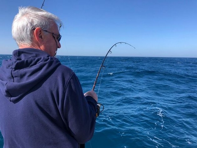 Hooked up Cavalier & Blue Marlin Sport Fishing Gran Canaria