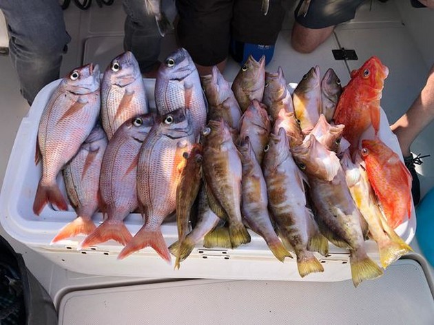 Nice Catch Cavalier & Blue Marlin Sport Fishing Gran Canaria