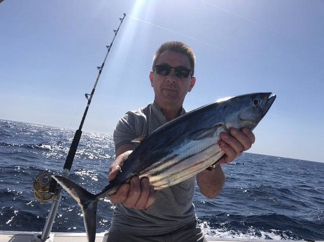 Skipjack tuna Cavalier & Blue Marlin Sport Fishing Gran Canaria