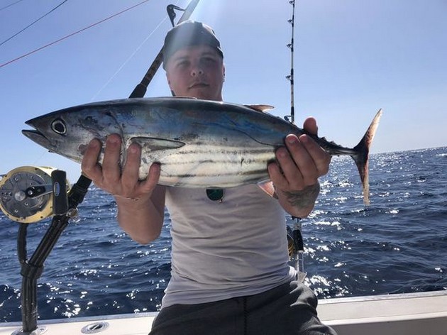 Skipjack tuna Cavalier & Blue Marlin Sport Fishing Gran Canaria