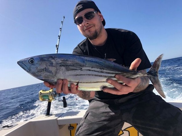 Skipjack tuna Cavalier & Blue Marlin Sport Fishing Gran Canaria