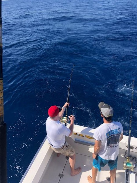 Hooked up Cavalier & Blue Marlin Sport Fishing Gran Canaria
