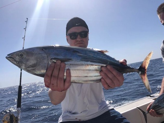 Skipjack tuna Cavalier & Blue Marlin Sport Fishing Gran Canaria