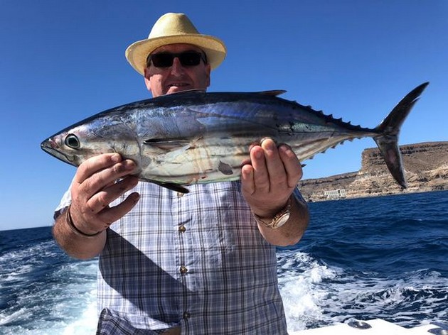 Skipjack tuna Cavalier & Blue Marlin Sport Fishing Gran Canaria