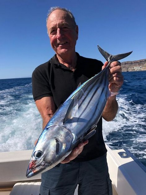 Skipjack tuna Cavalier & Blue Marlin Sport Fishing Gran Canaria