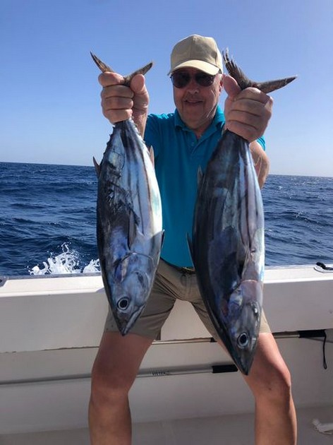 Skipjack tuna Cavalier & Blue Marlin Sport Fishing Gran Canaria