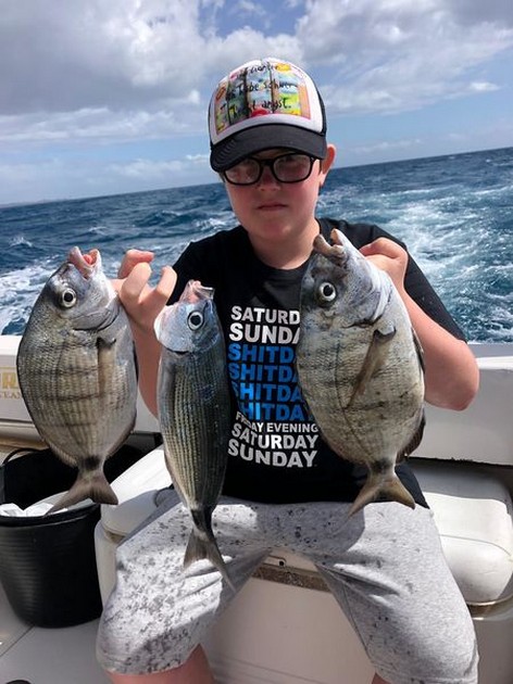 Seabreams Cavalier & Blue Marlin Sport Fishing Gran Canaria