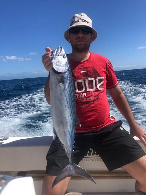 North Atlantic Bonito Cavalier & Blue Marlin Sport Fishing Gran Canaria