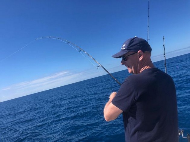 March Photo Archive 2019 Cavalier & Blue Marlin Sport Fishing Gran Canaria