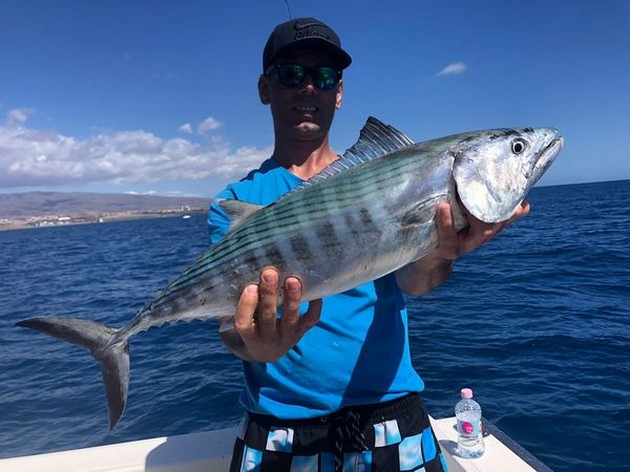 North Atlantic Bonito Cavalier & Blue Marlin Sport Fishing Gran Canaria