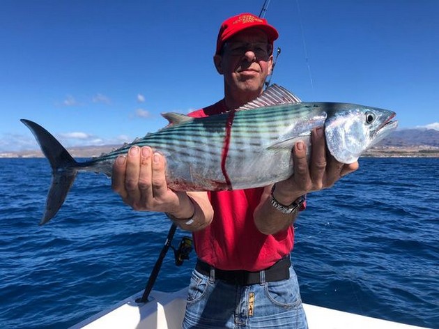 North Atlantic Bonito Cavalier & Blue Marlin Sport Fishing Gran Canaria