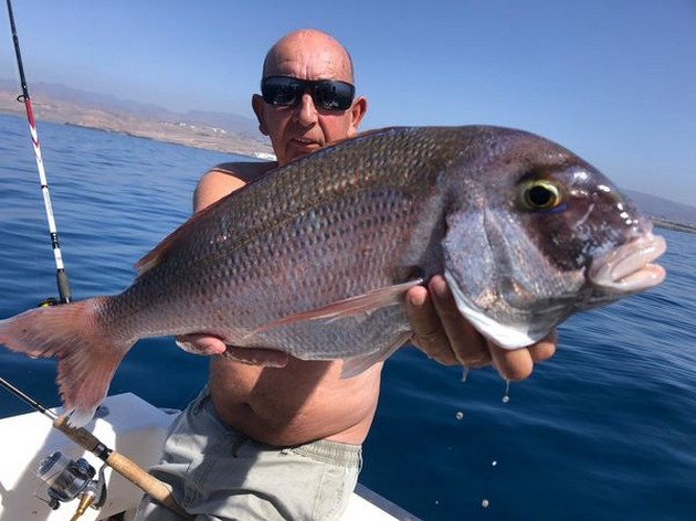 Wooooooow Cavalier & Blue Marlin Sport Fishing Gran Canaria