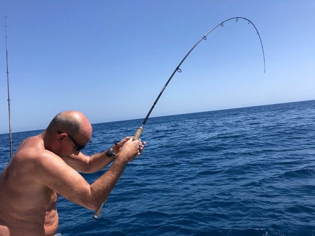 Hooked up Cavalier & Blue Marlin Sport Fishing Gran Canaria