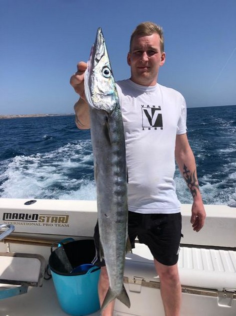 Barracuda Cavalier & Blue Marlin Sport Fishing Gran Canaria
