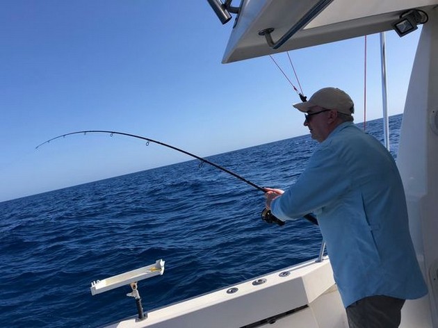 March Photo Archive 2019 Cavalier & Blue Marlin Sport Fishing Gran Canaria