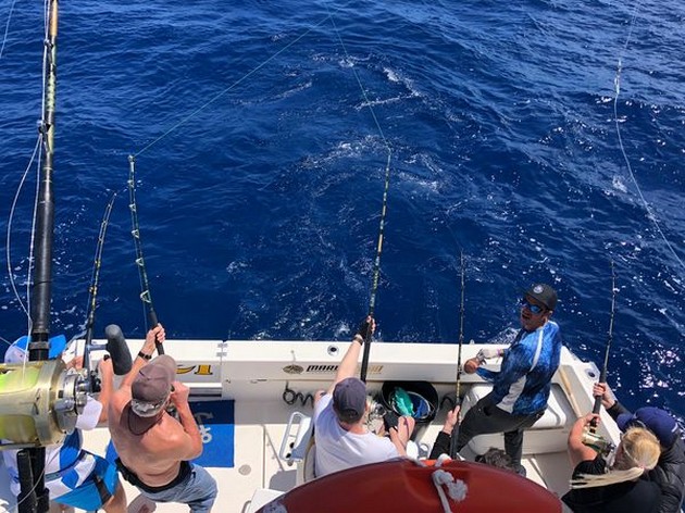 April Photo Archive 2019 Cavalier & Blue Marlin Sport Fishing Gran Canaria